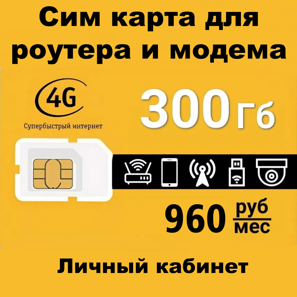 Снебарф SIM-карта Безлимитный интернет 300 Гб в сети Билайн (Москва, Московская область)  #1