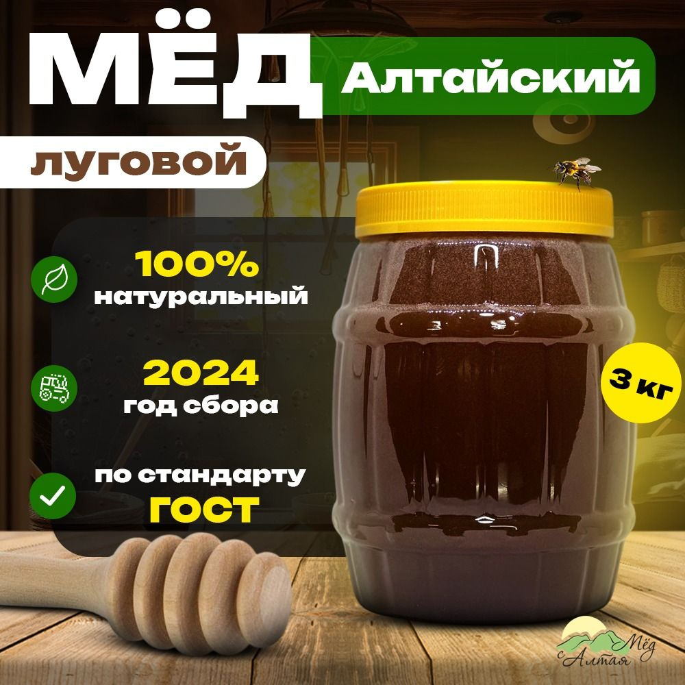 Мед натуральный Алтайский луговой 3 кг сбор 2024 купить на OZON по ...