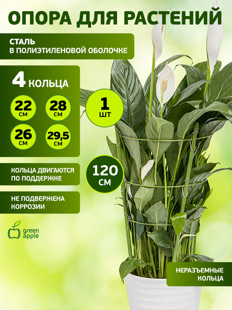 Опора для растений и цветов GFS-4-120 GREEN APPLE / кольцевая поддержка для растений 4 кольца 1,2 м / #1