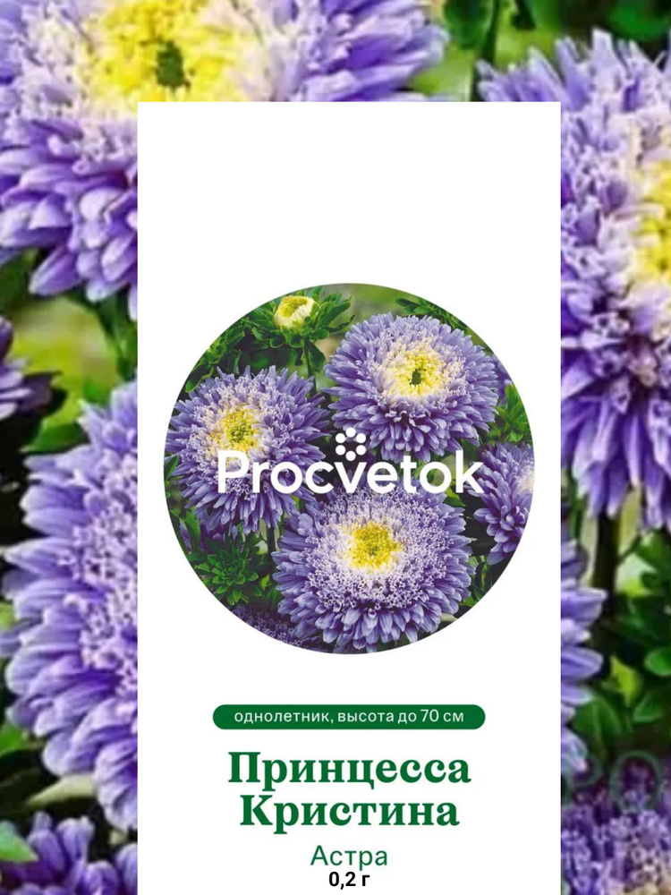 Семена Астра Принцесса Кристина 0,2г, Процветок #1
