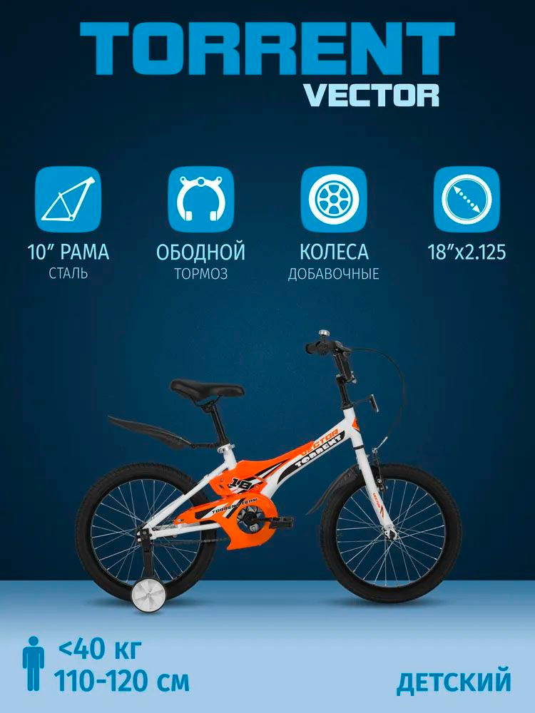Детский велосипед TORRENT Vector 18 (1 скорость, добавочные колеса, рама сталь, колеса 18") #1