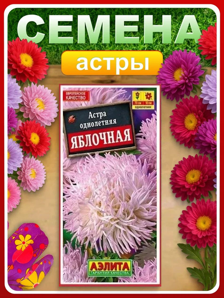 Семена Астра "Яблочная" коготковая 0,2 гр, однолетние цветы для дома, дачи, сада и огорода, клумбы, в #1