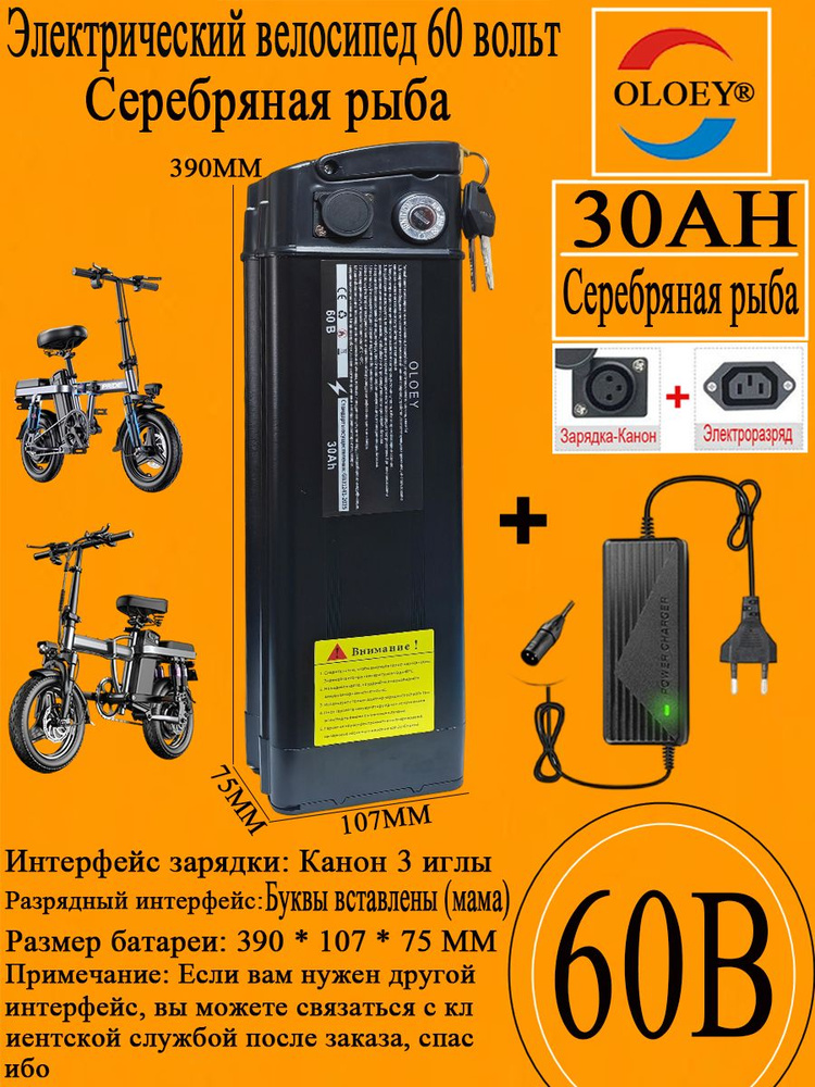 OLOEY Аккумулятор для электровелосипеда 2025, 1000 Вт #1