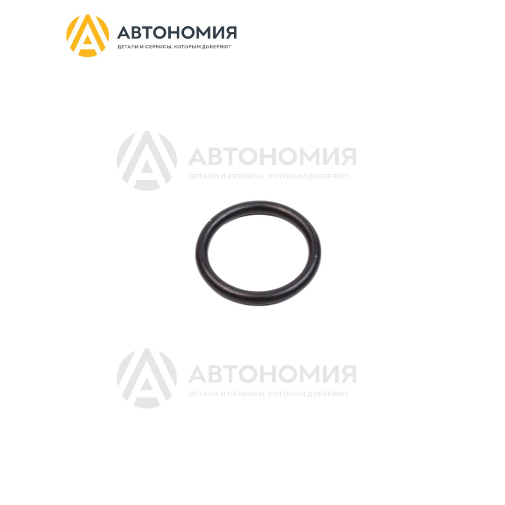 Кольцо уплотнительное Subaru 806917080 #1
