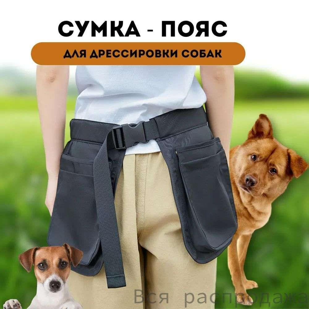 Сумка для лакомств #1