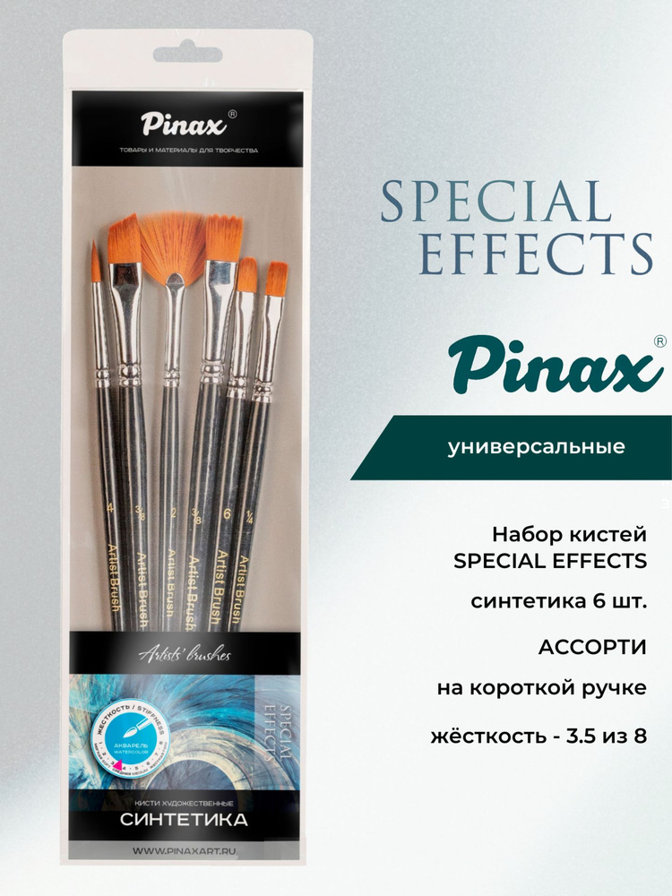 Набор кистей PINAX, SPECIAL EFFECTS синтетика 6 шт. АССОРТИ #1