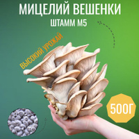 Мицелий Эринги зерновой Mine 1 кг (hub_zonr8a)