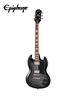 Epiphone G-310 Sg купить на OZON по низкой цене