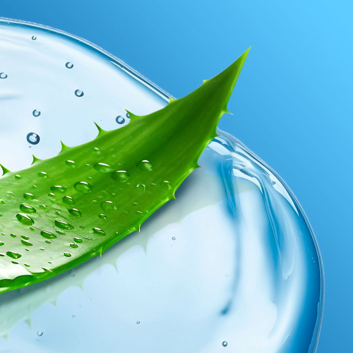 Трусики төмен тізедегі порно мейірімділік сұрайды