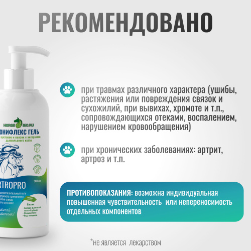 Bioseksual gunoh Bioseksual gunoh