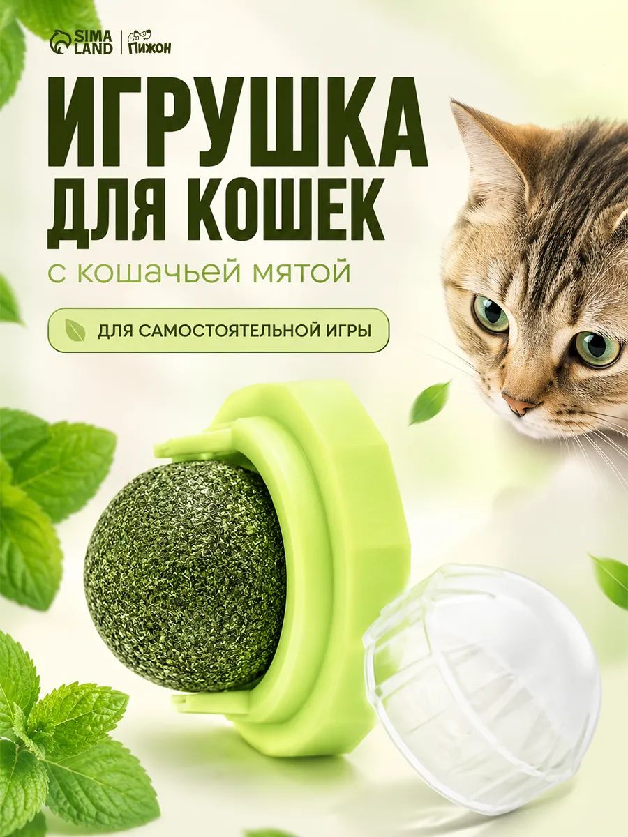 Кошачья мята шарик для кошек, на стену, зеленый