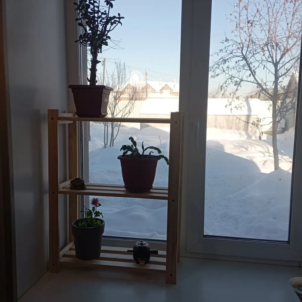 Создание практичной этажерки для рассады из полипропиленовых труб и деревянных досок