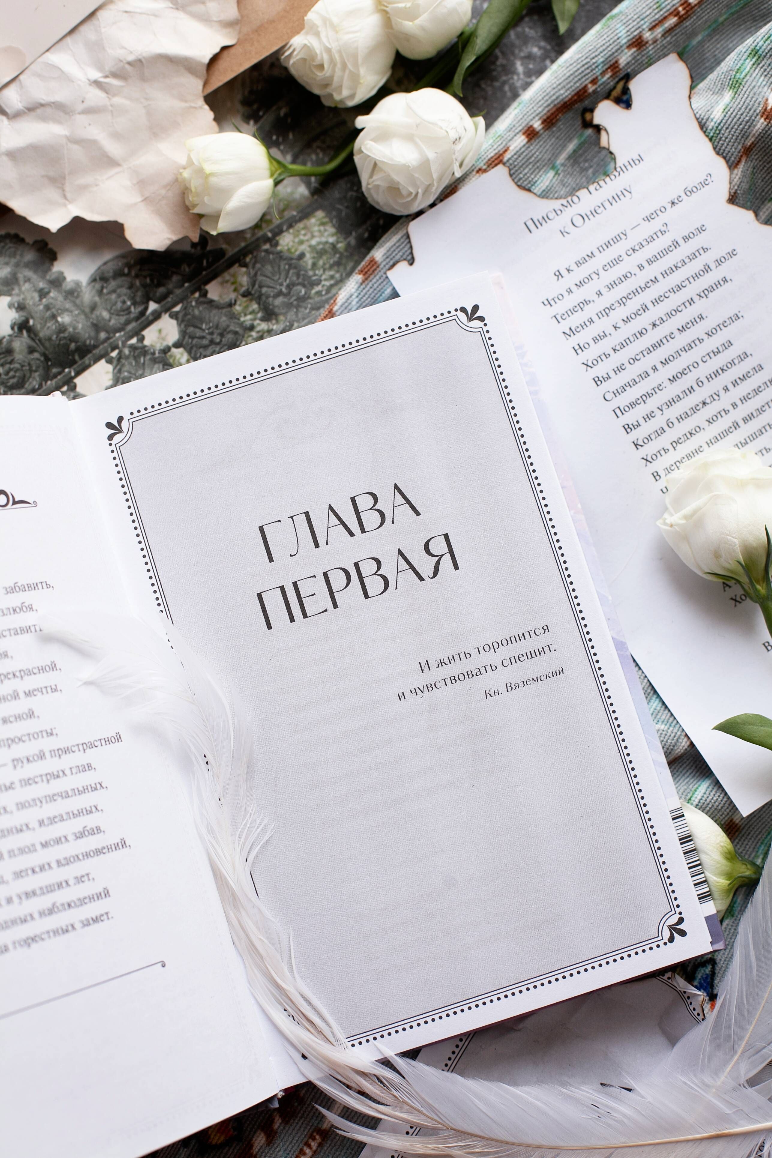 Евгений Онегин | Eugene Onegin - Ozon image 6