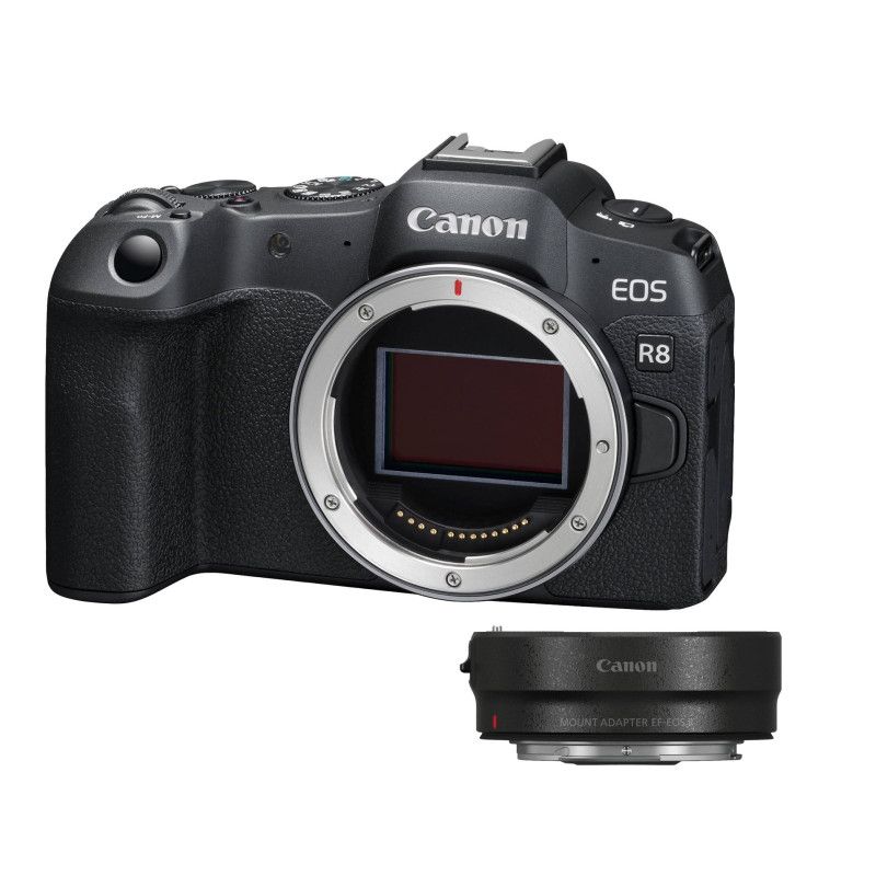 фотоаппарат CANON EOS R8 MOUNT ADAPTER EF EOS R купить на OZON по ...