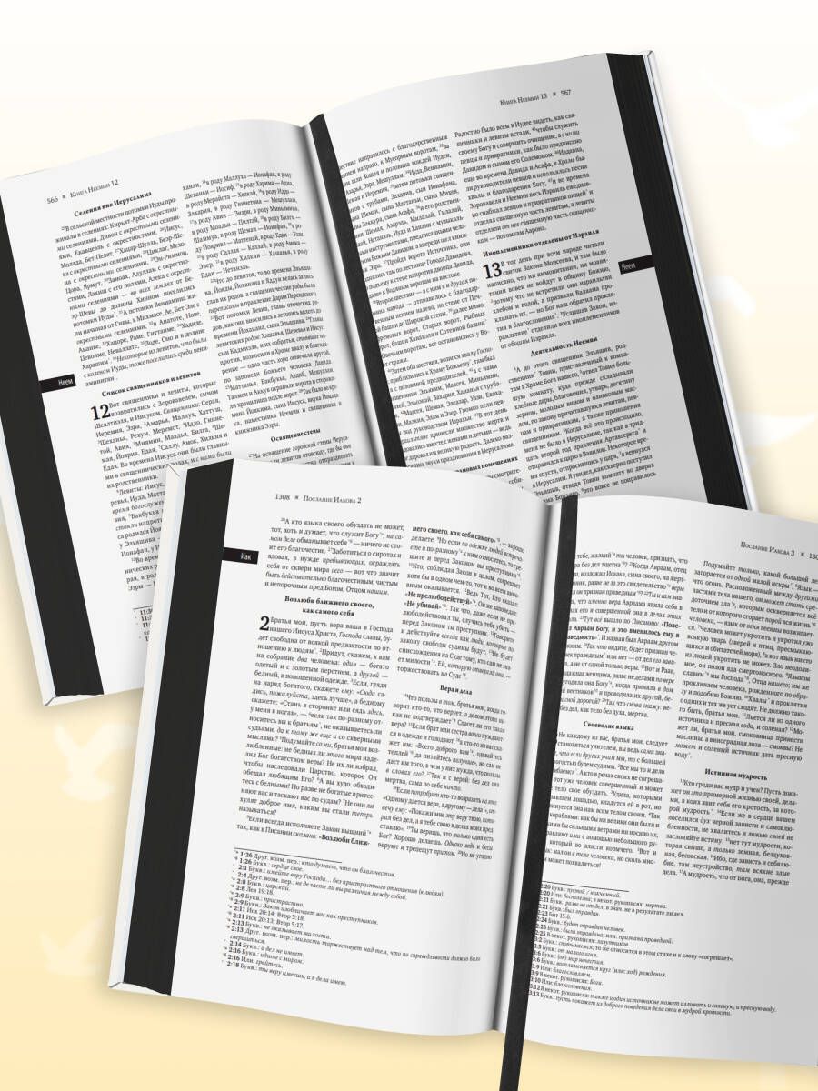 Библия в современном русском переводе | The Bible in a Modern Russian Translation - Ozon image 7