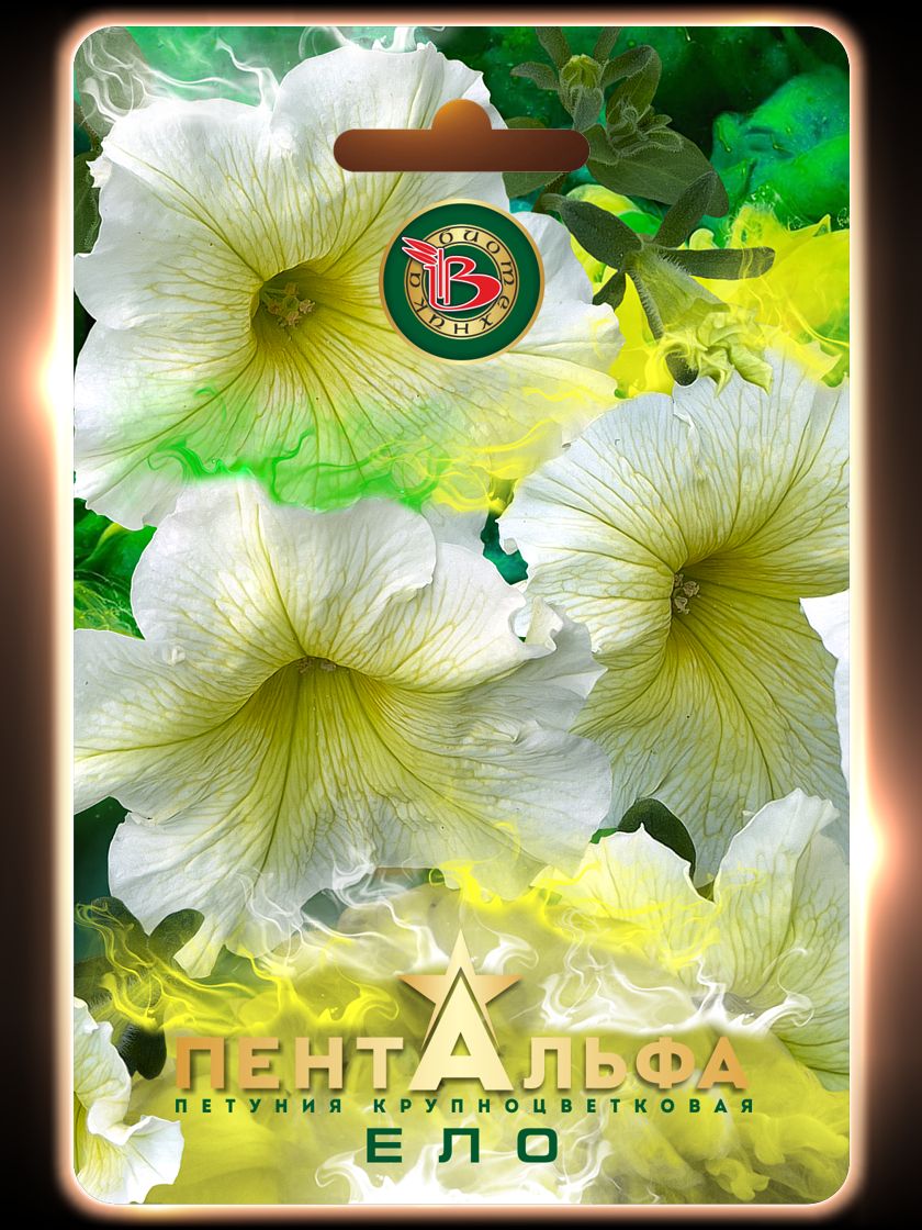 Picture background