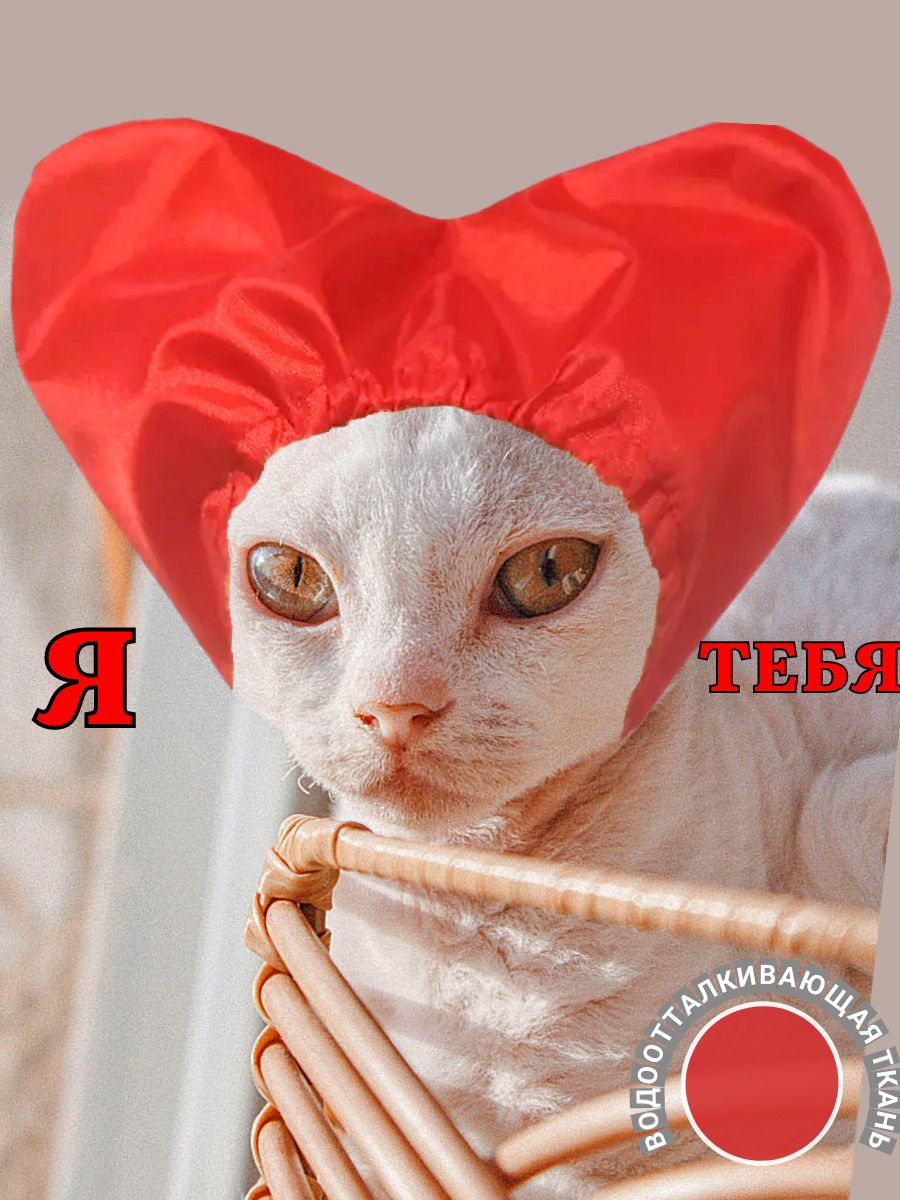 ШапочкадлясфинксадлякупанияразмерXS-S,Шапкадлямытьякошек