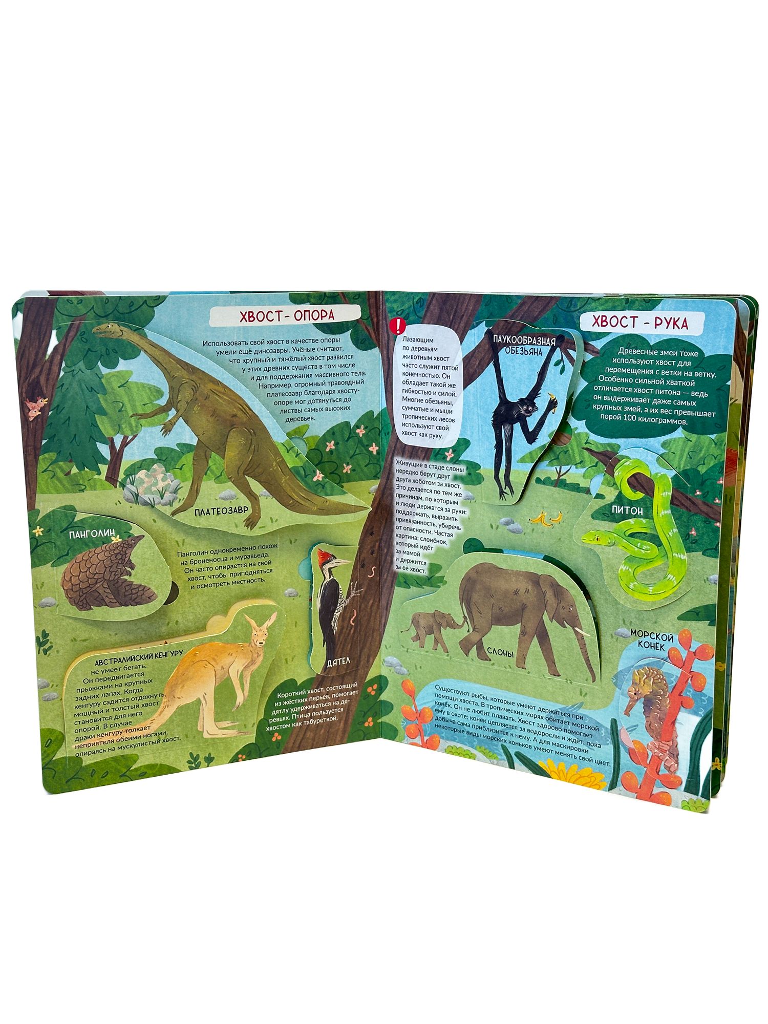 Книга детская энциклопедия с окошками Виммельбух | Children's Encyclopedia with Windows Wimmelbuch - Ozon image 7