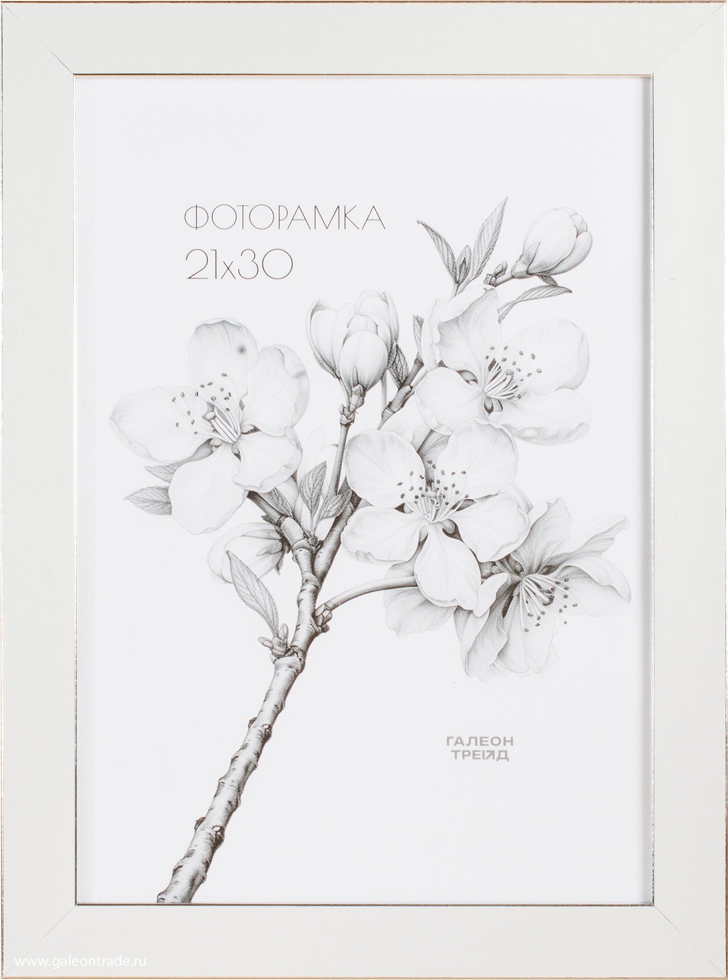 Фоторамка пластиковая 21 х 30 см, белая