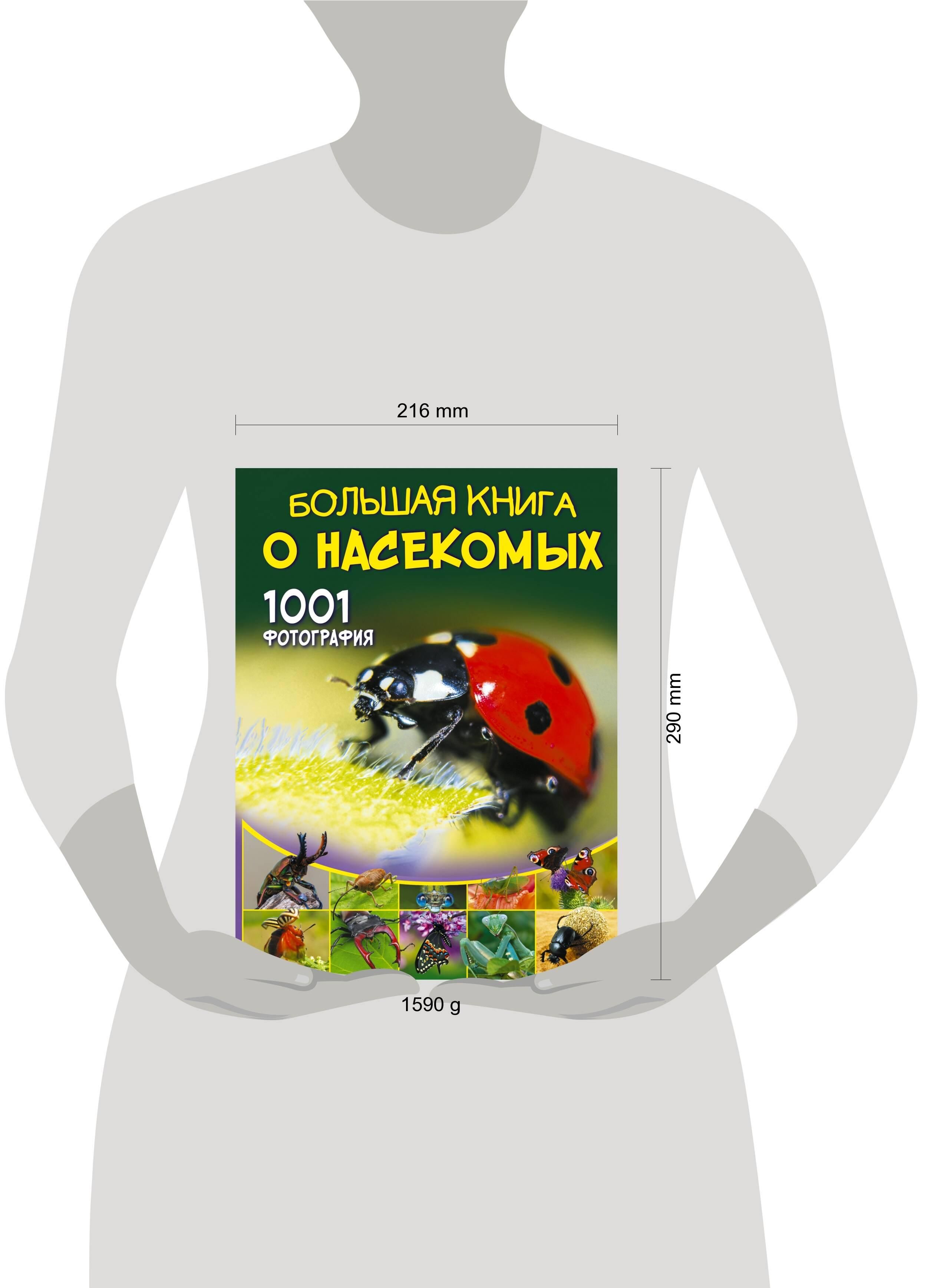 Большая книга о насекомых. 1001 фотография | The Big Book of Insects: 1001 Photographs - Ozon image 4