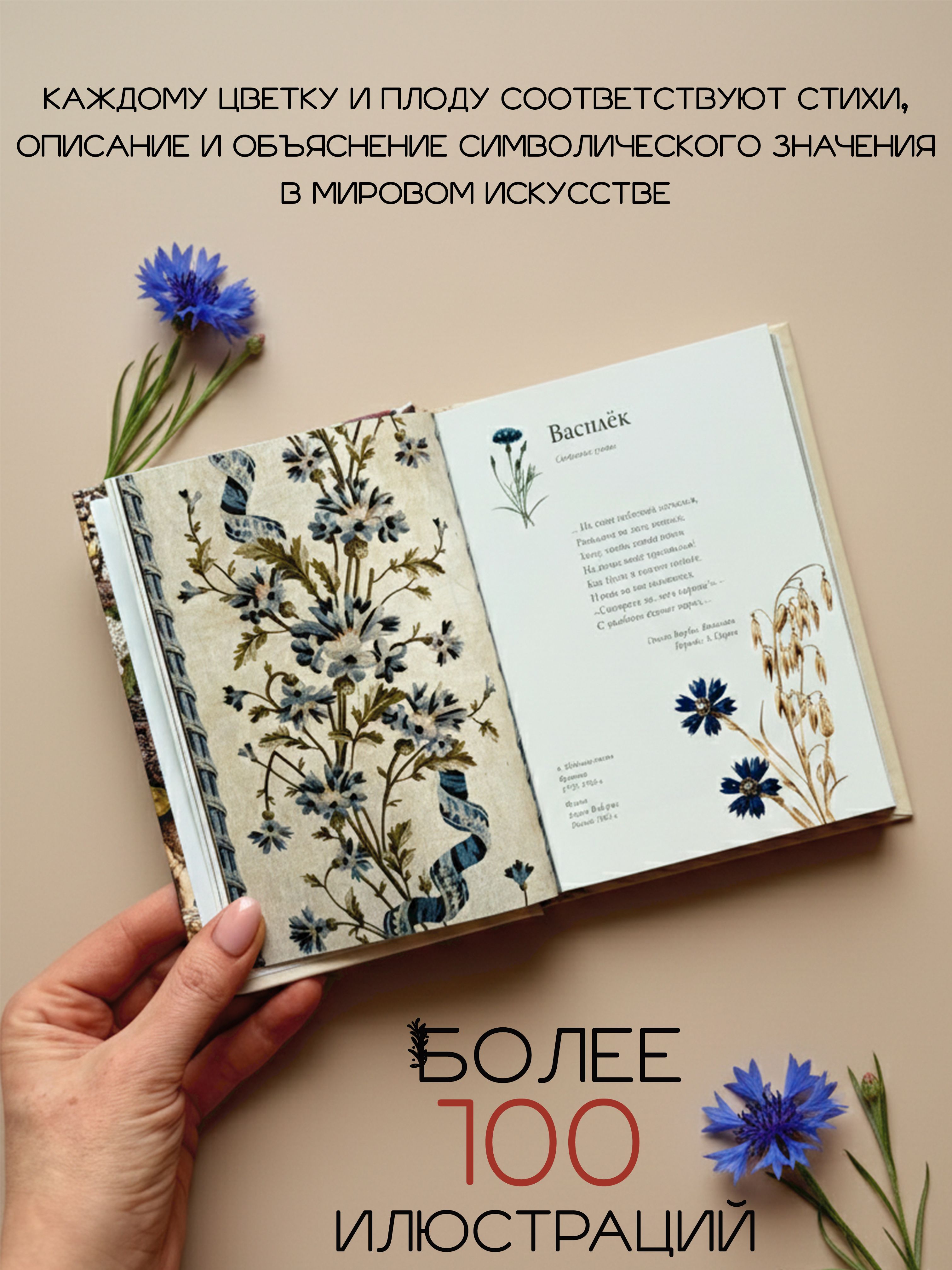 Книга Любовь к ботанике | The Love of Botany - Ozon image 1