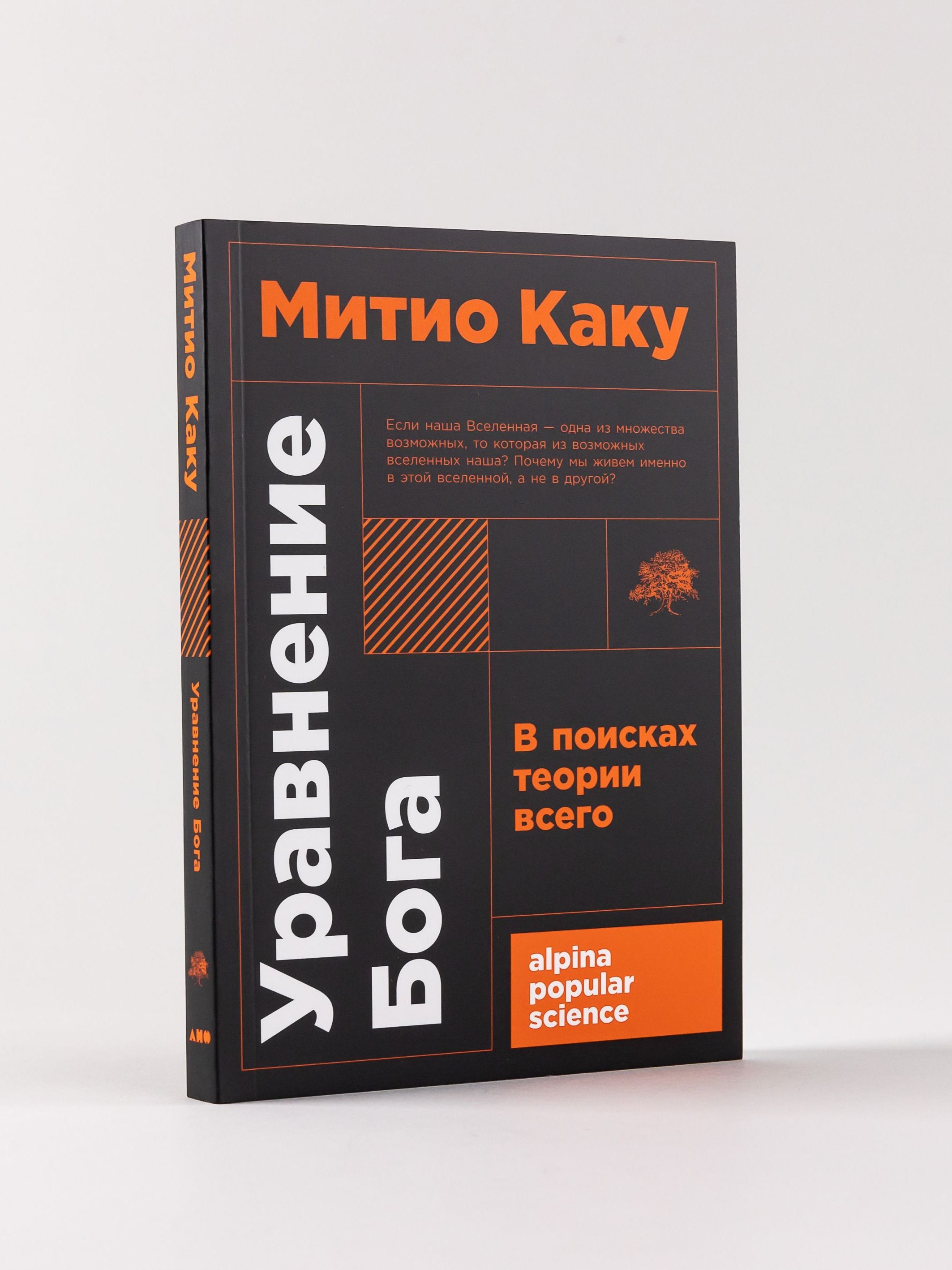 Уравнение Бога: В поисках теории всего Каку Митио | The God Equation: The Quest for a Theory of Everything - Ozon image 3