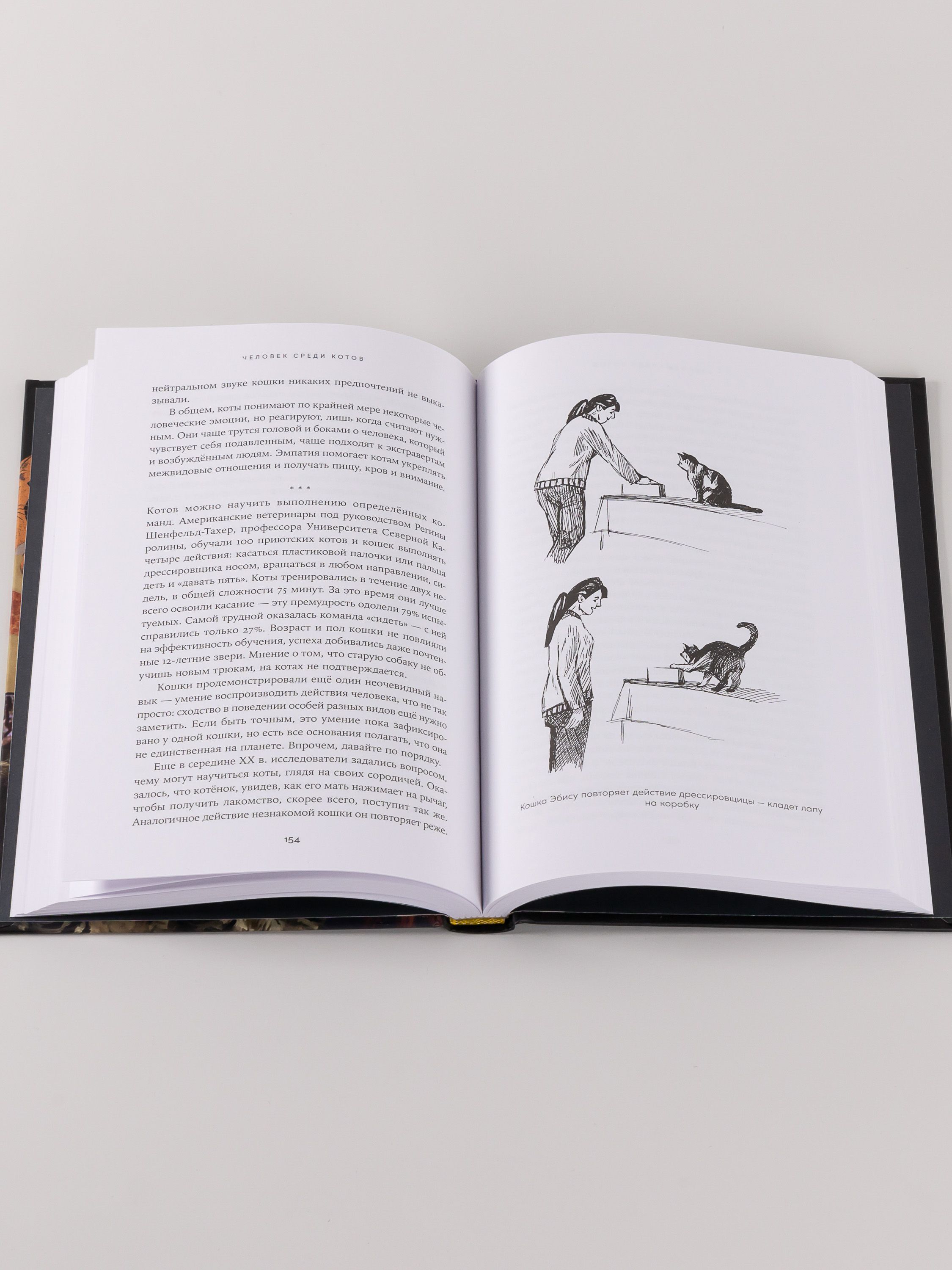 Человек среди котов. История близкого соседства | Among Cats: A Story of Close Proximity - Ozon image 7