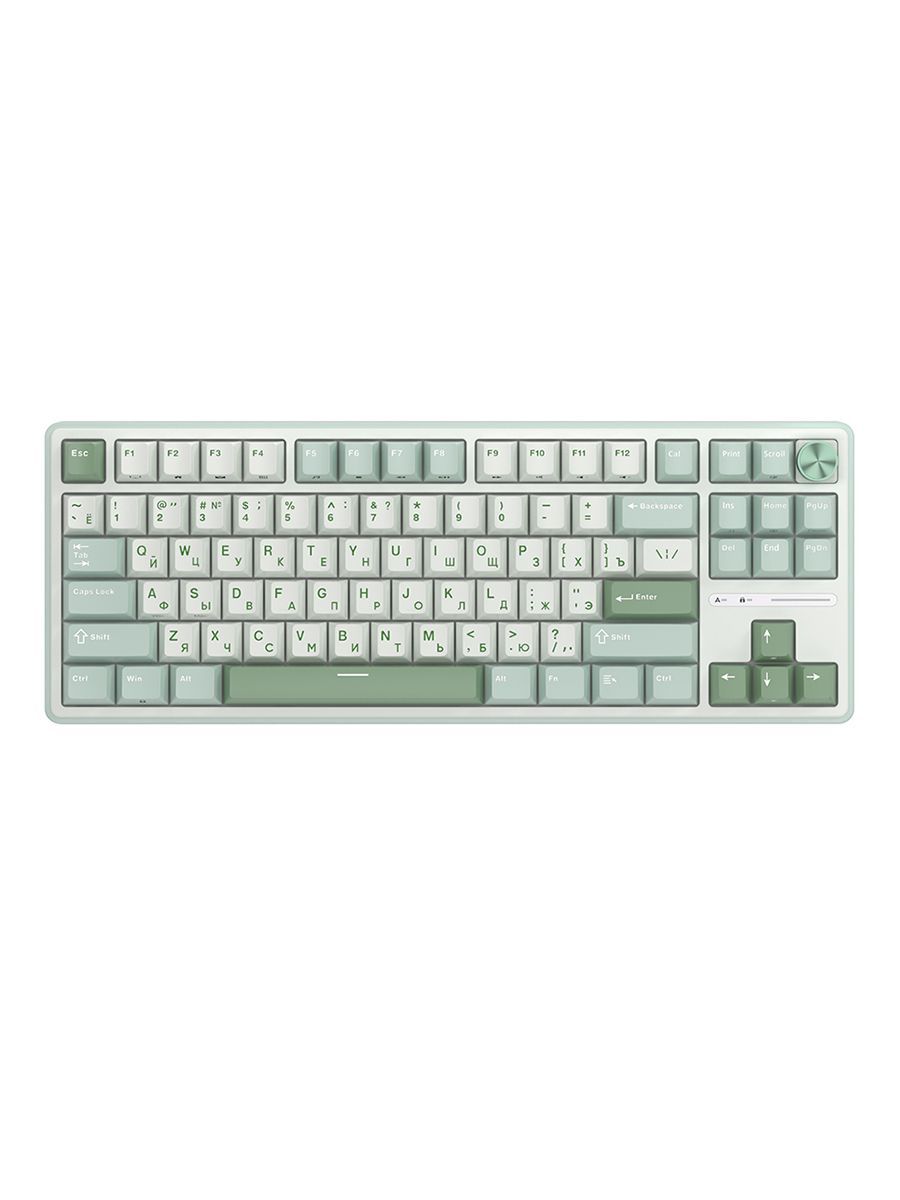 RKRoyalKludgeRKR87PRORKBrownПроводнаямеханическаяигроваяклавиатура,русскаяраскладка,классическаяTKL(80%),87клавиш,белая,светло-синий