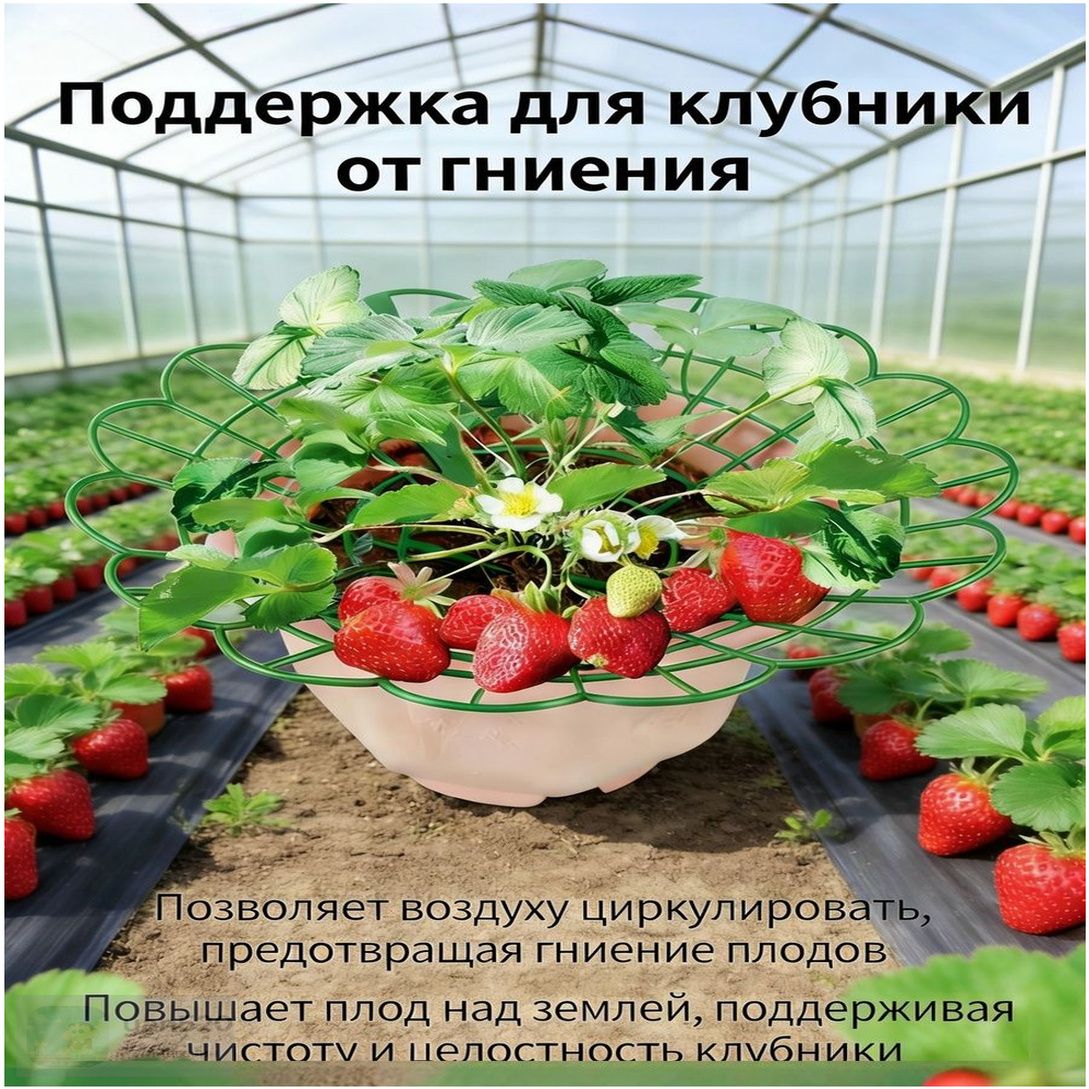 Опорадлярастений,28см,10шт