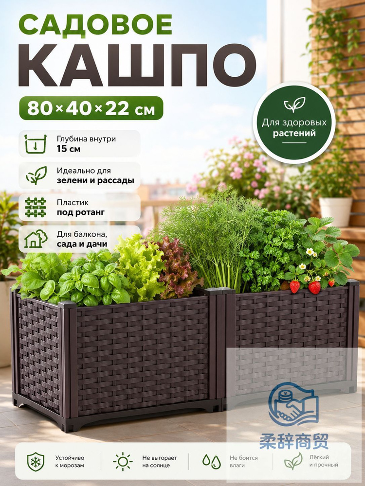 80-22-1-ozon