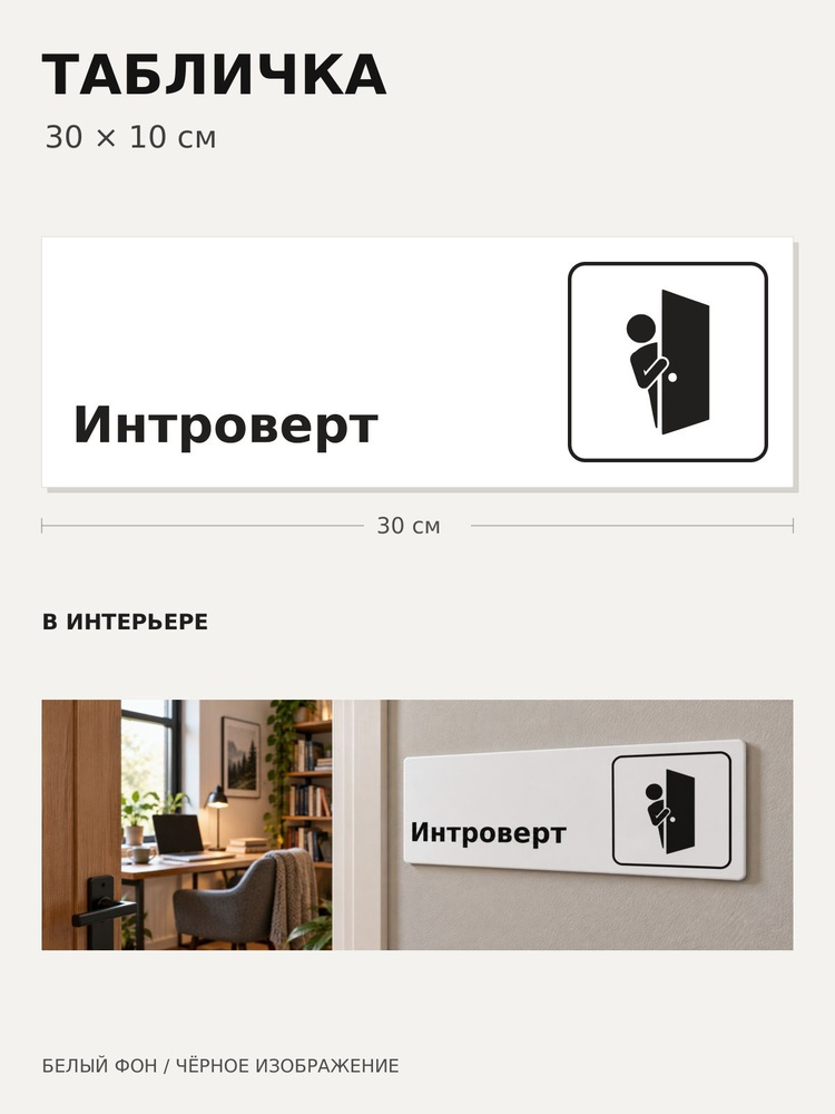 Табличка "Интроверт" (300х100мм) #1