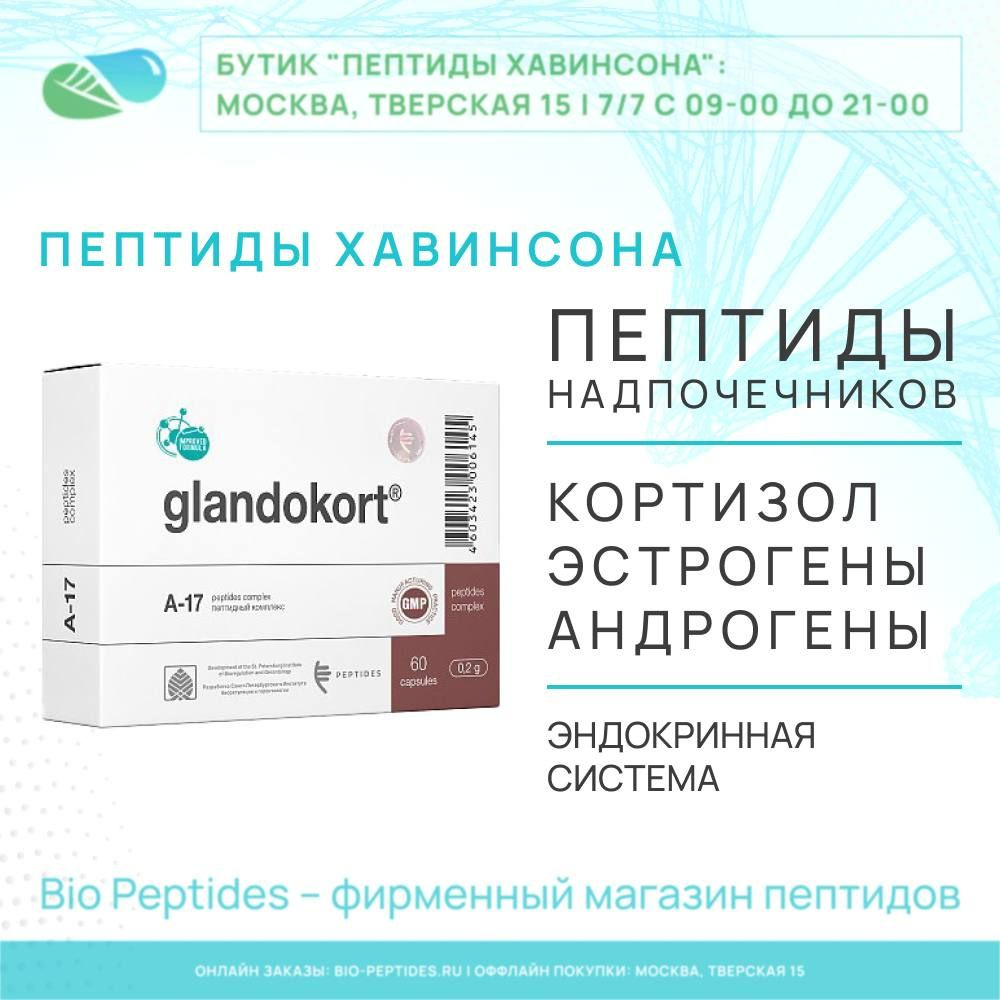 Гландокорт (надпочечники) пептиды Хавинсона Bio Peptides (от стресса,  эндокринная система: кортизол эстрогены тестостерон) 60 капсул - купить с  доставкой по выгодным ценам в интернет-магазине OZON (416642403)