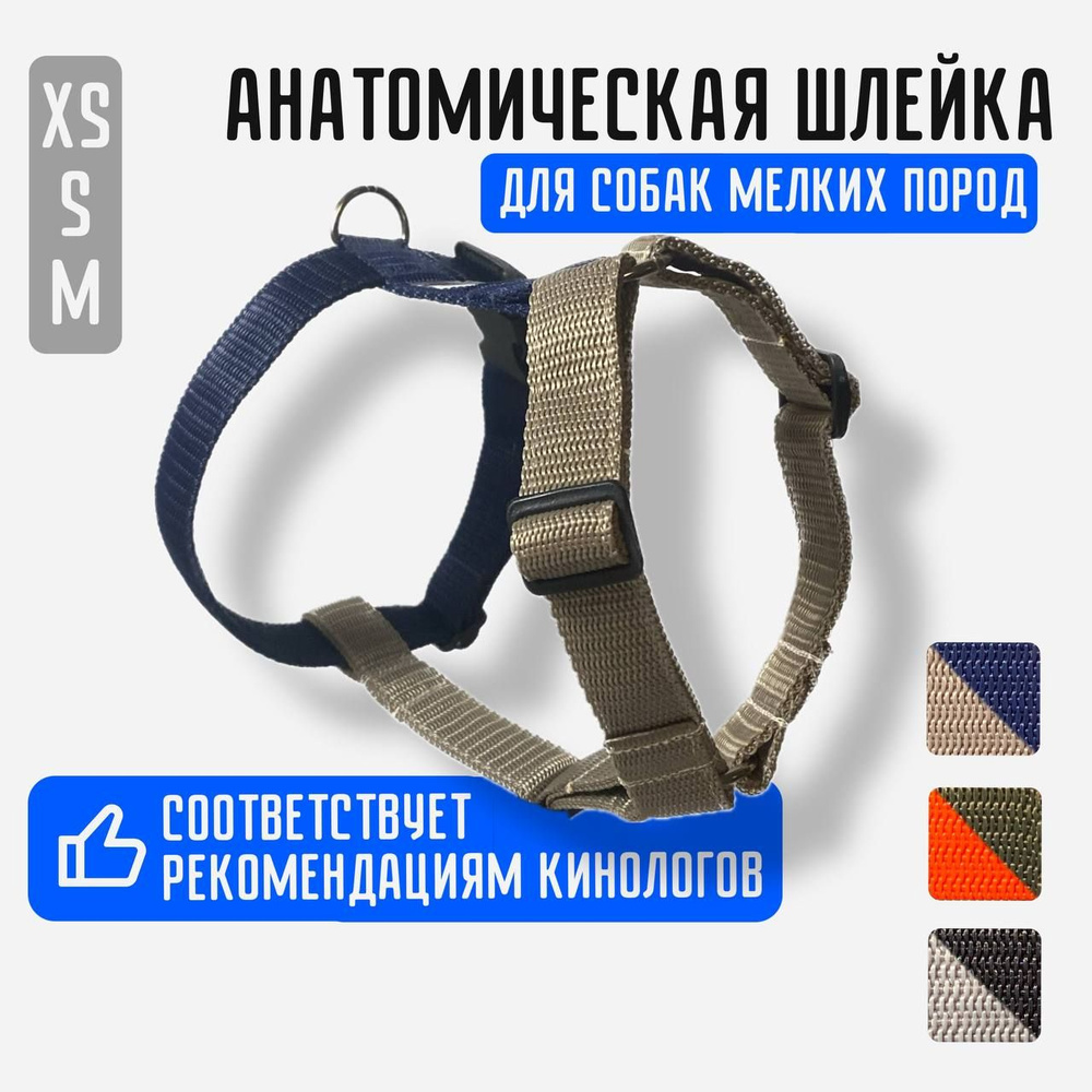 Анатомическая шлейка для собак мелких пород - купить с доставкой по ...