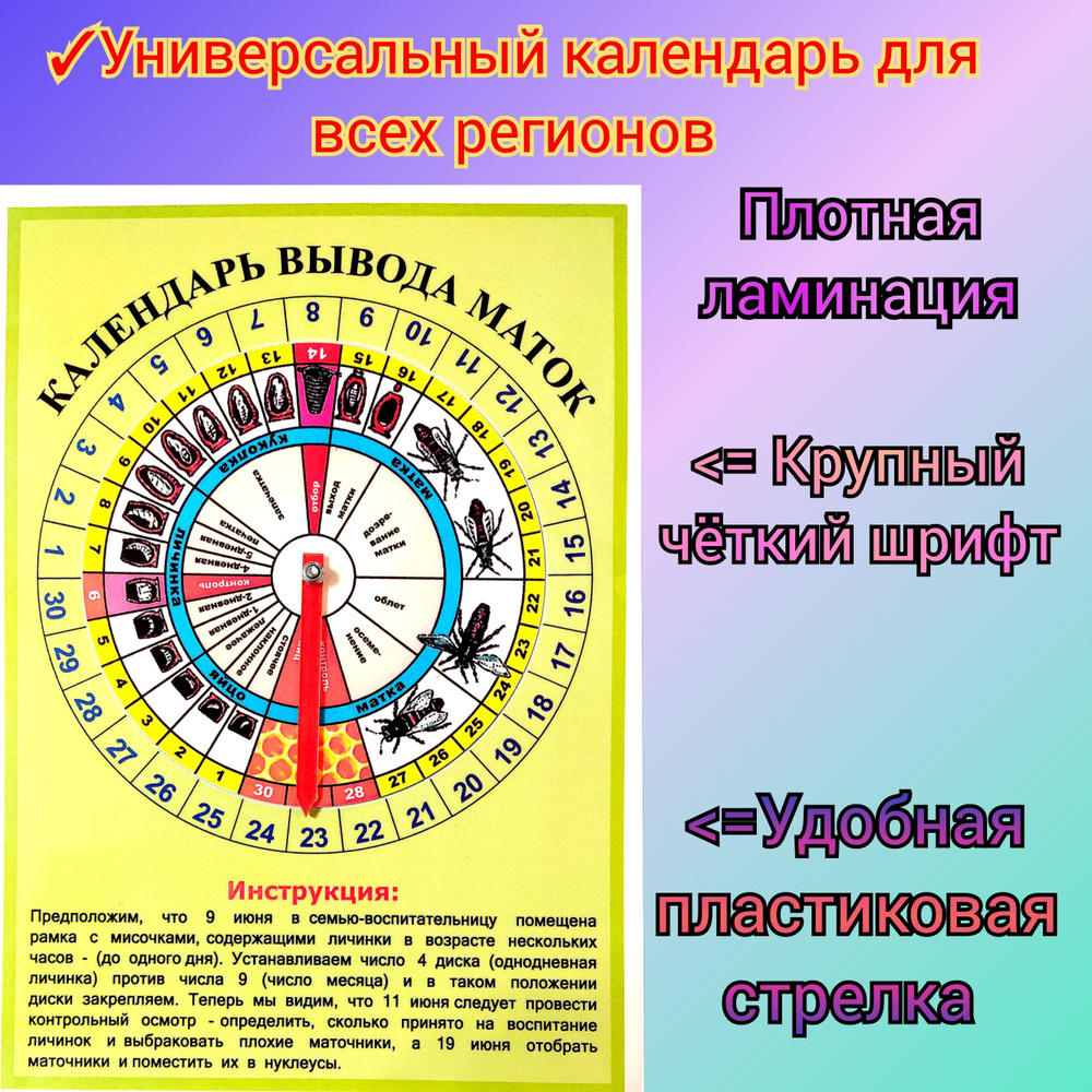 Календарь вывода маток, А4, ламинированный(план календарь пчеловода работ  на пасеке)