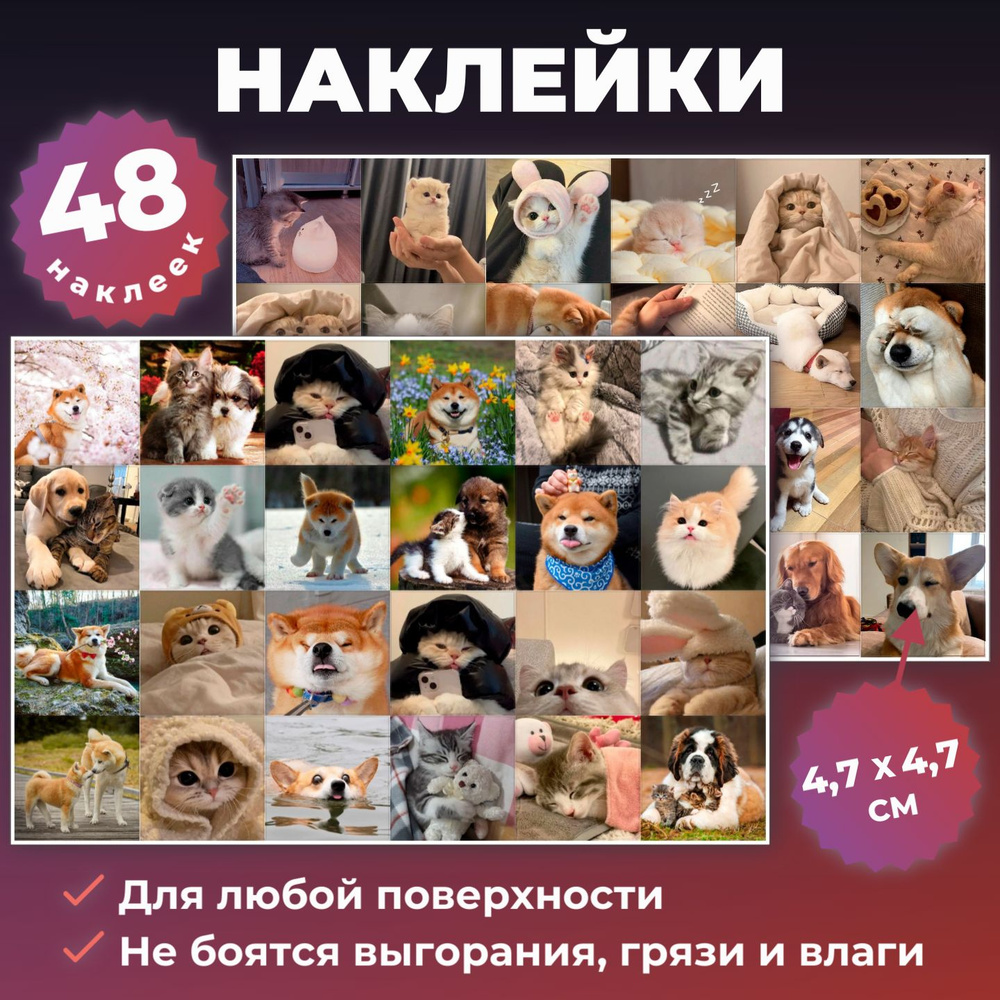 Наклейки Котики и собачки 48 шт. многоразовые детские на стену для декора, на телефон, ноутбук, на тетрадь #1