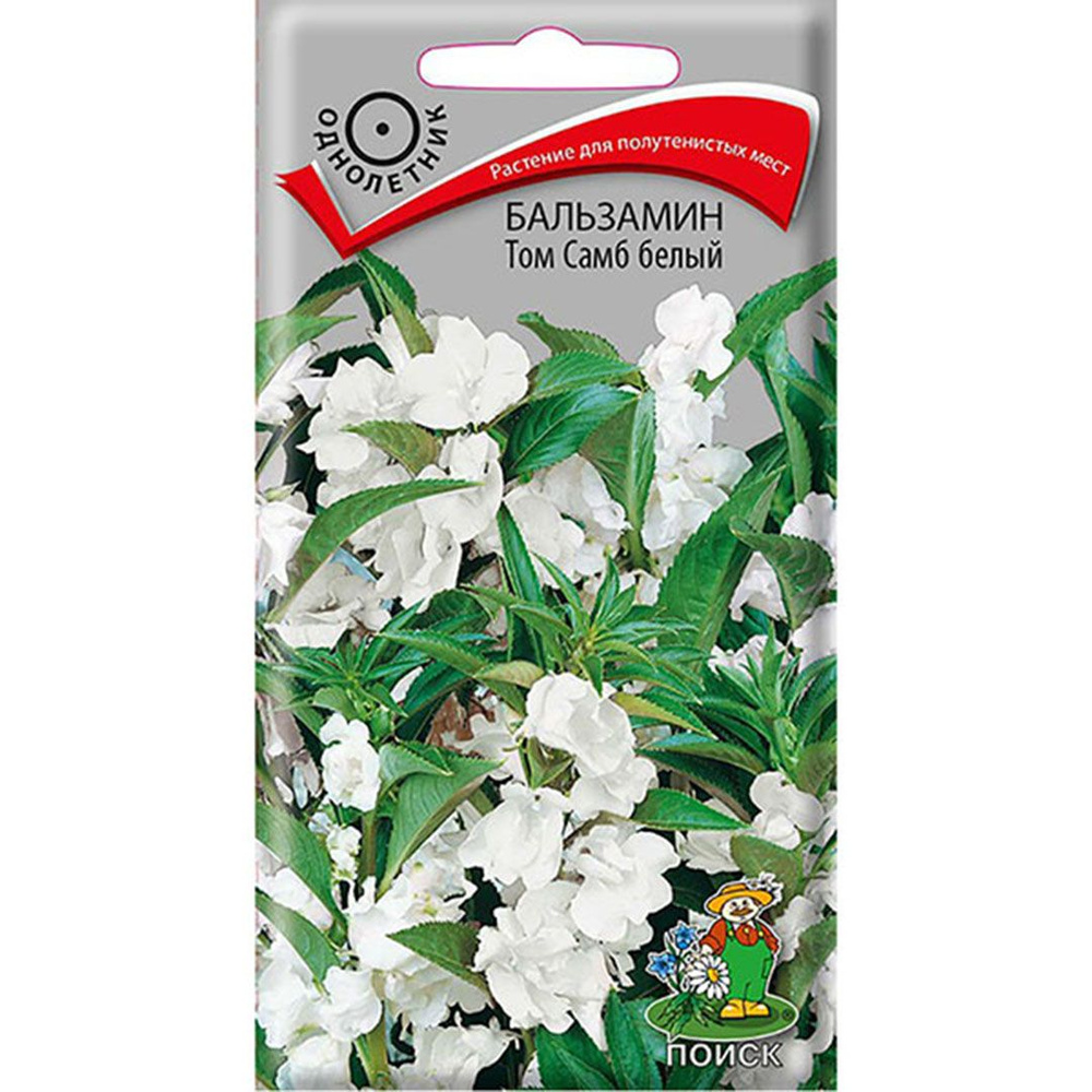 ПОИСК Агрохолдинг Бальзамина Том Самб белый ,в упак-0,1гр - купить по ...