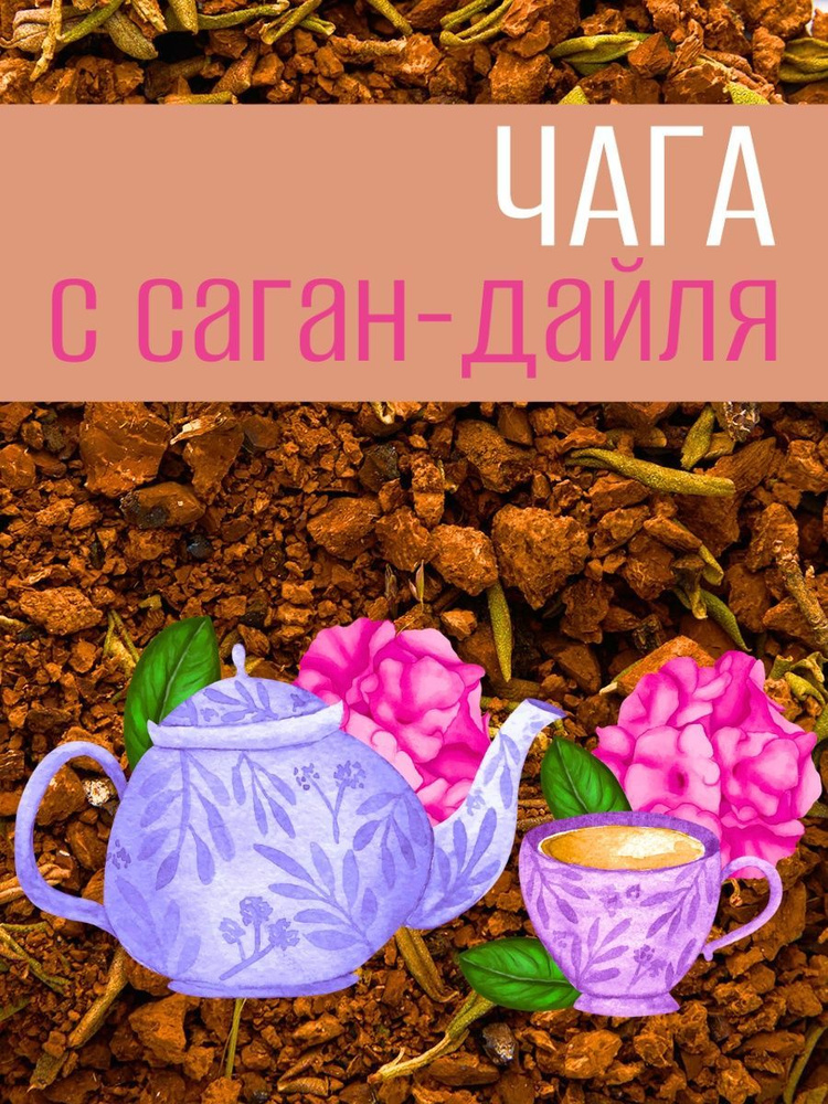 Чага 75 гр с Саган дайля #1