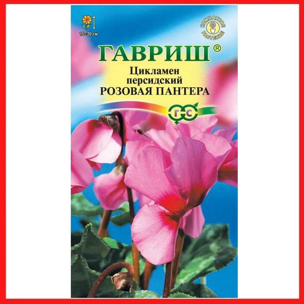 Семена Цикламен персидский "Розовая пантера", 3 шт, многолетние цветы, комнатные растения, для дома, #1