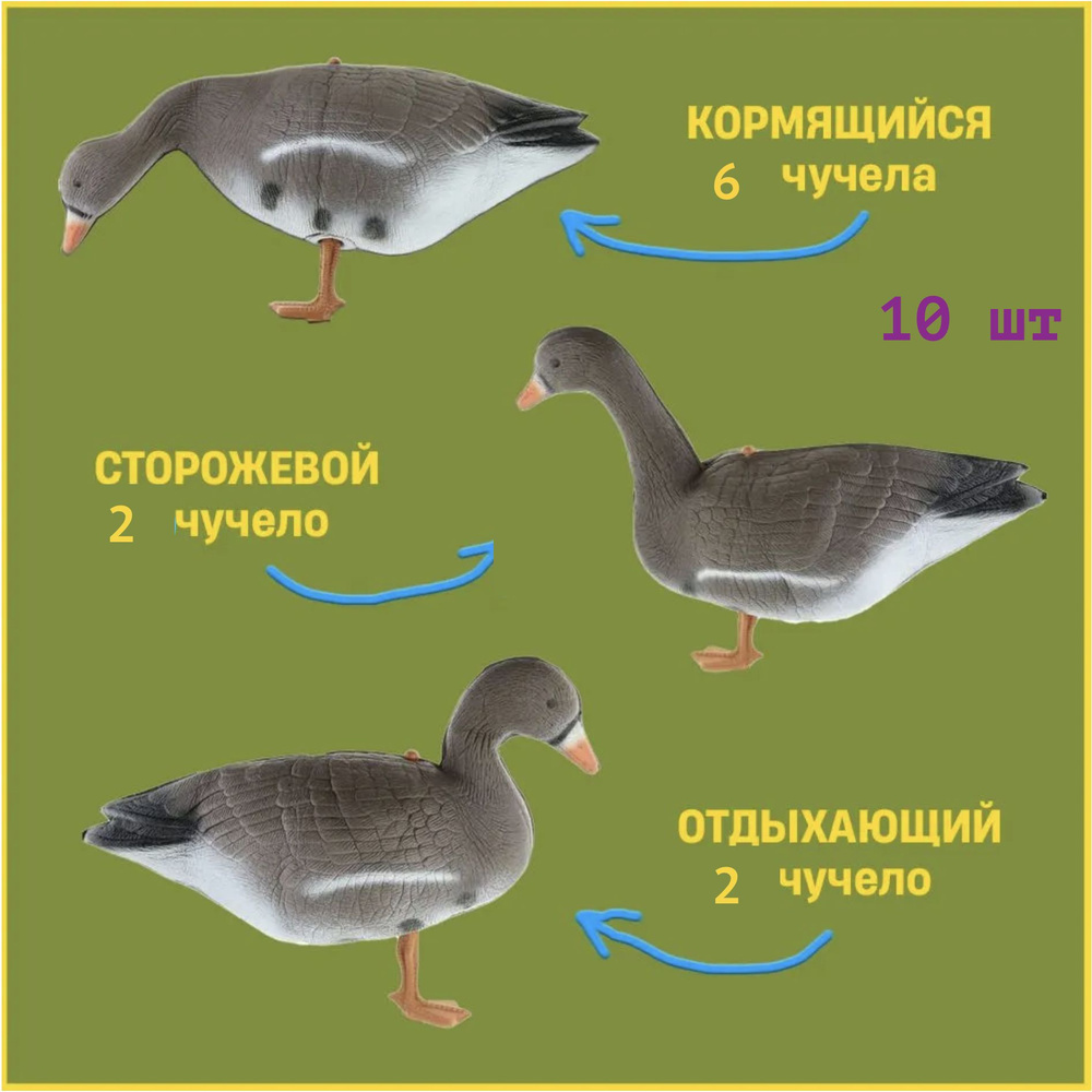 Чучело - купить с доставкой по выгодным ценам в интернет-магазине OZON ...