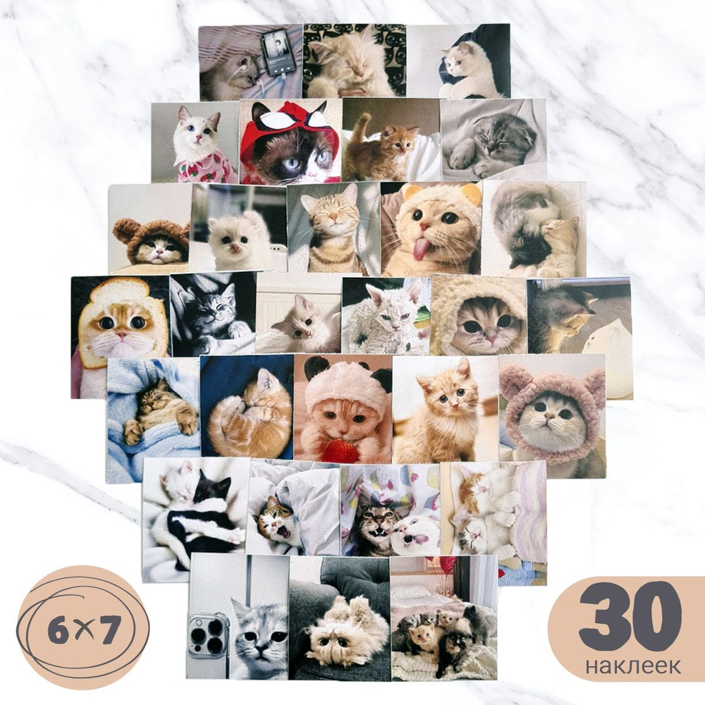 Наклейки мемные Котики 30 штук. Наклейки для декора и интерьера ...