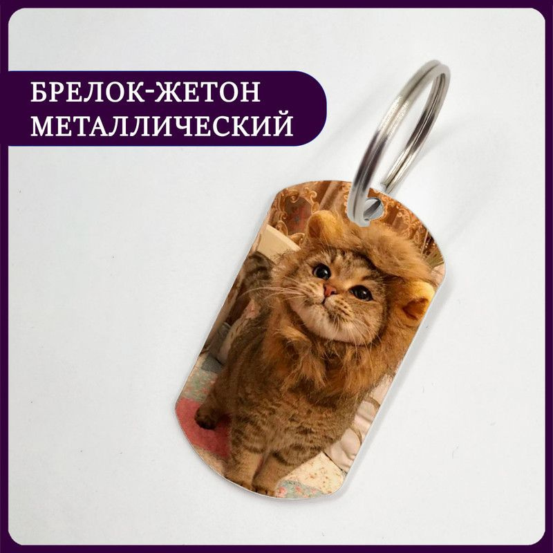 Брелок котик в костюме льва #1