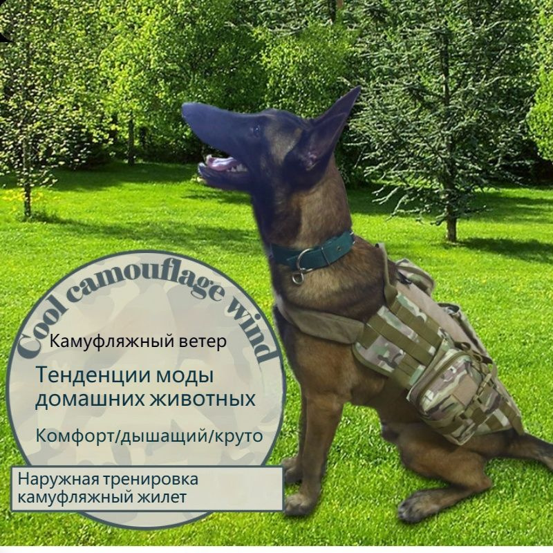 k9