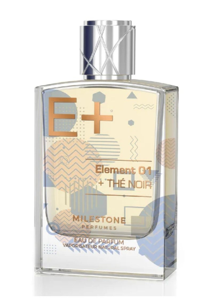 Парфюмерная вода Emper Melistone ELEMENT 01 +THE NOIR 100ML #1