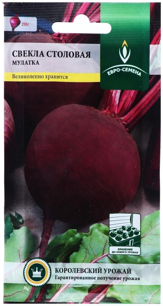 Семена Свекла "Мулатка", цв/п, 2 г #1