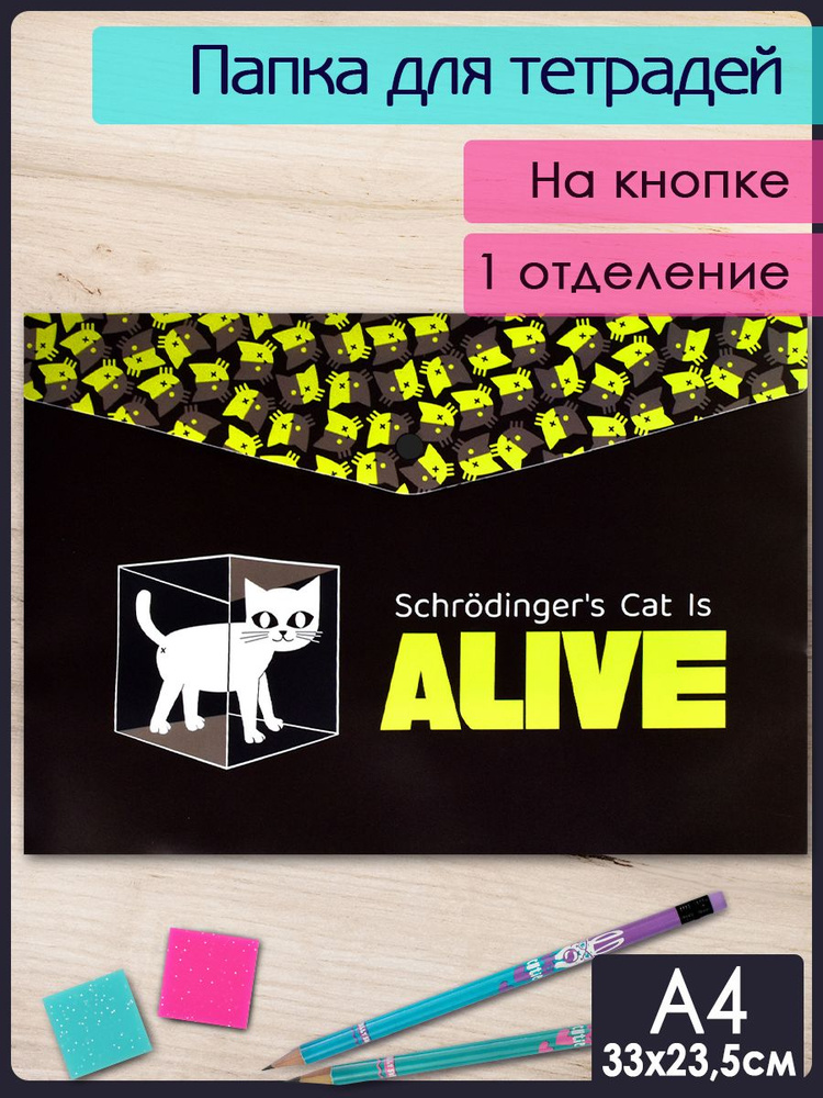 Папка для школьных тетрадей пластиковая "НАУЧНЫЙ КОТ" А4, 1 отделение на кнопке  #1