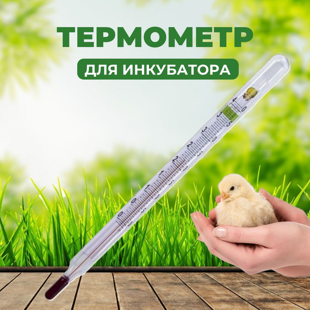 Термометр для инкубатора стеклянный - купить с доставкой по выгодным ...