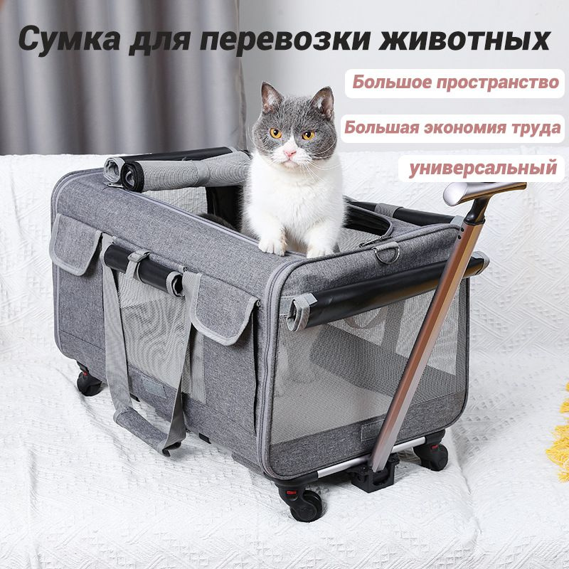 Переноска для собак на колесиках, одобренная авиакомпанией для ...
