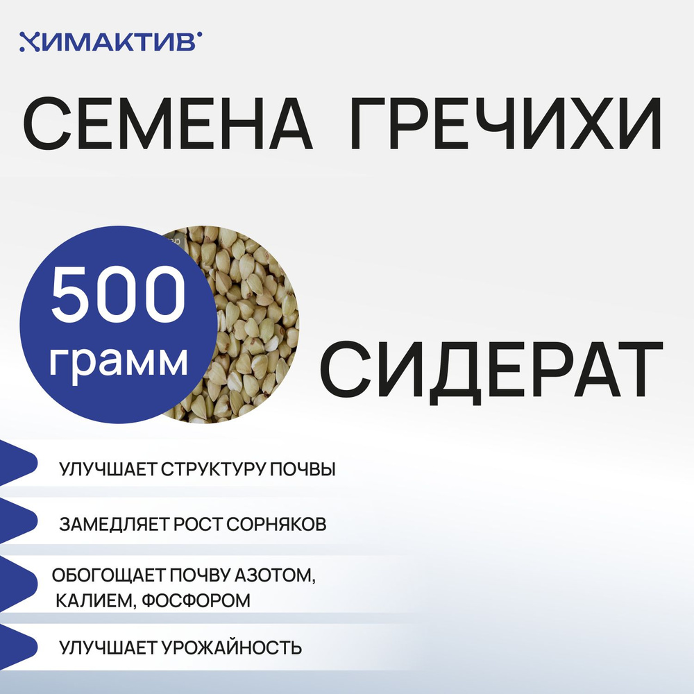 Семена гречихи (500 грамм) сидерат, удобрение для растений  #1