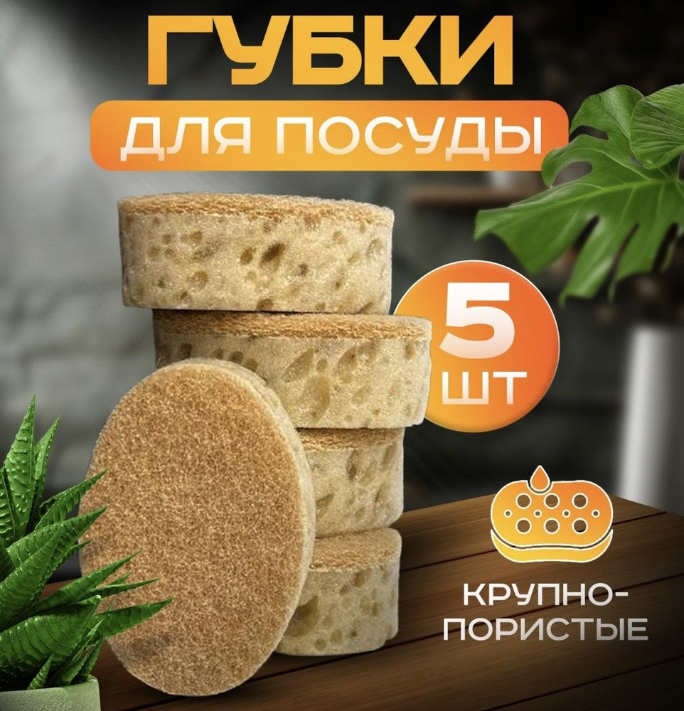 Губка, 5 шт. #1