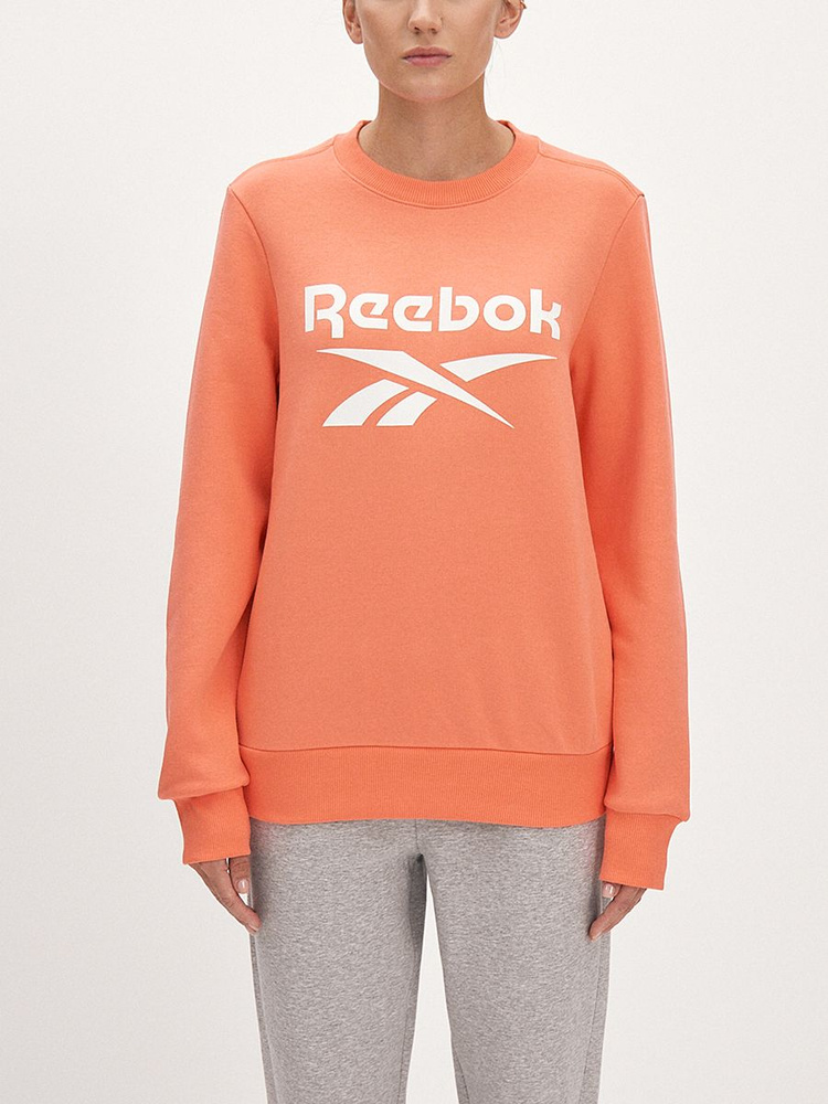 Свитшот Reebok IDENTITY BIG LOGO FLEECE CREW #1